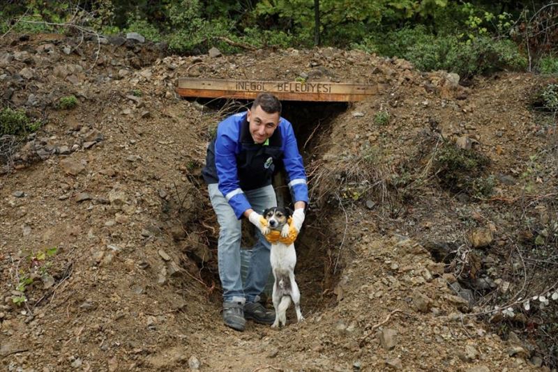 Sokak Canları Korunaklı Yuvalara Kavuştu