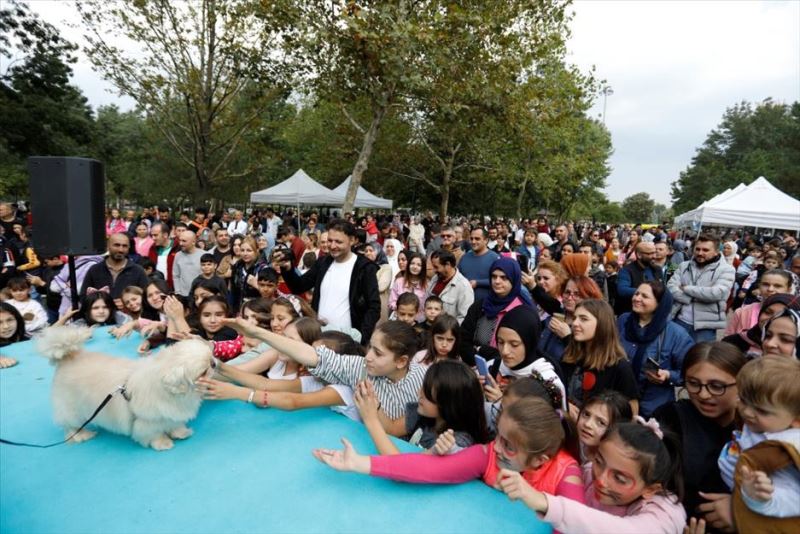 İnegöl’ün Kedi Ve Köpekleri Podyumu Süsledi
