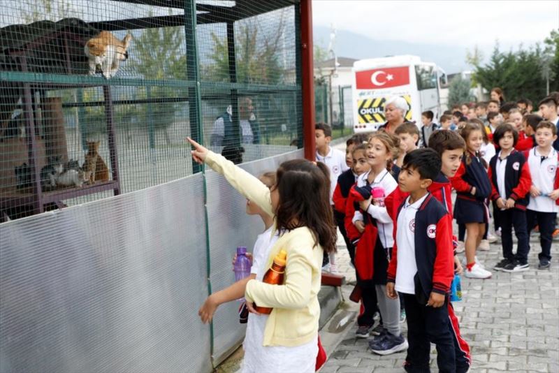 İnegöl Belediyesi Barınağı Can Dostlarına Şifa Oluyor