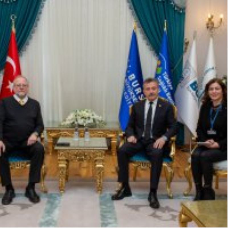 İş sağlığı için uluslararası işbirliği