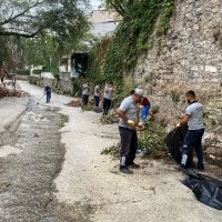 Temiz çevre için güç birliği