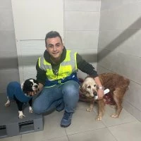 Büyükşehir, bayramda da can dostların yanında